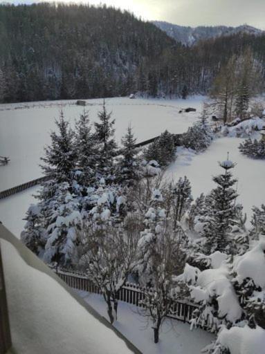 Apartament Rojka Ζακοπάνε Εξωτερικό φωτογραφία